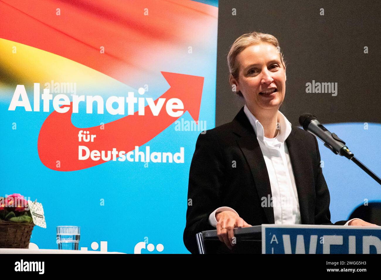 Alterative für Deutschland, Alice Weidel Dr. Alice Weidel Fraktionsvorsitzende der AfD