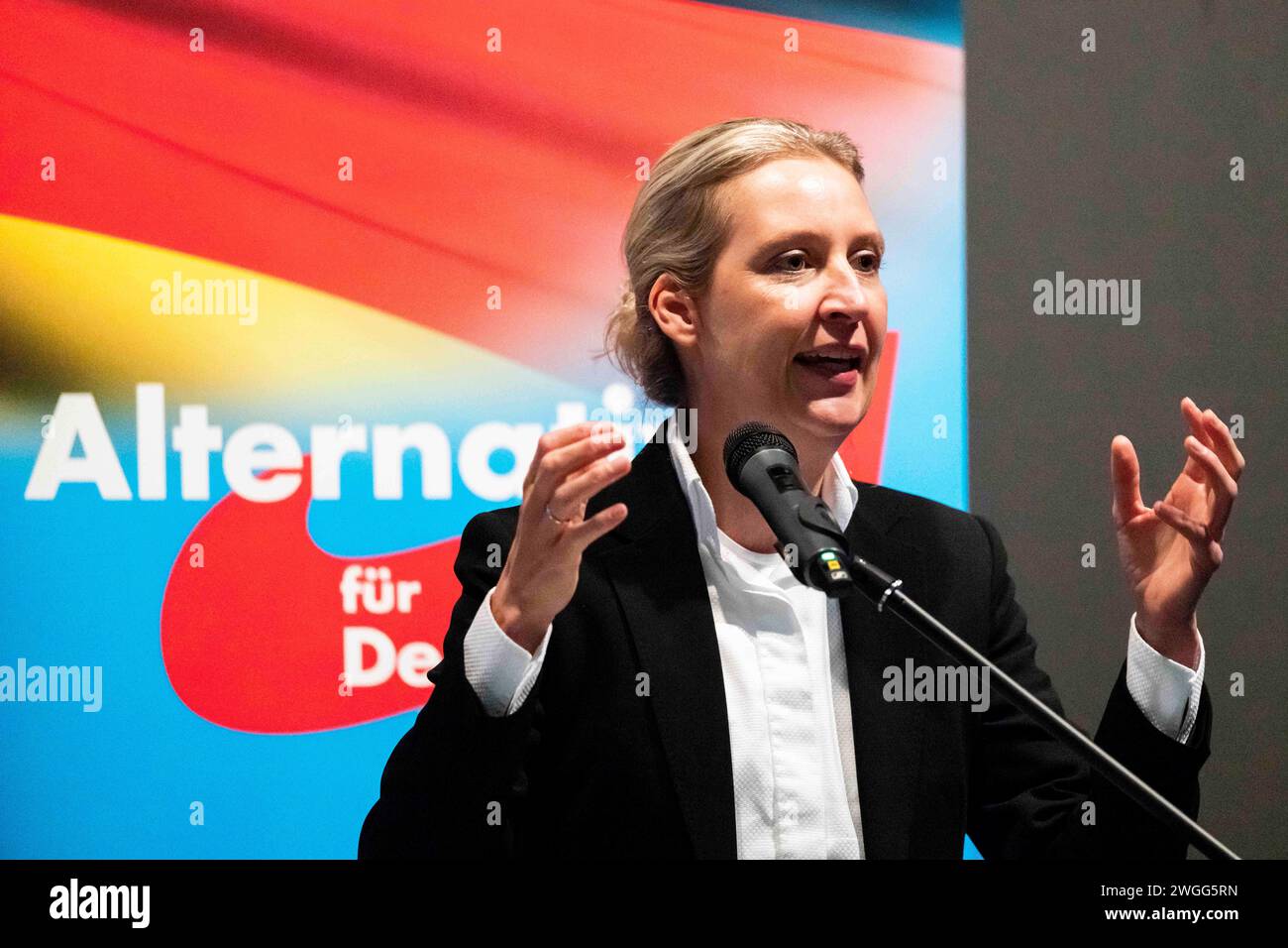 Alterative für Deutschland, Alice Weidel Dr. Alice Weidel Fraktionsvorsitzende der AfD