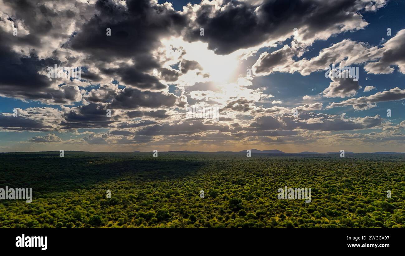 Das Sonnenlicht durchdringt die Sturmwolken über dem üppigen Buschveld der Provinz Limpopo, Südafrika Stockfoto