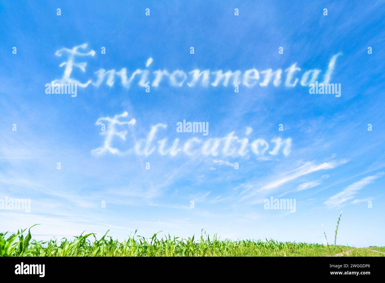 Umwelterziehung: Die Menschen über ökologische Konzepte und die Bedeutung des Schutzes unterrichten. Stockfoto