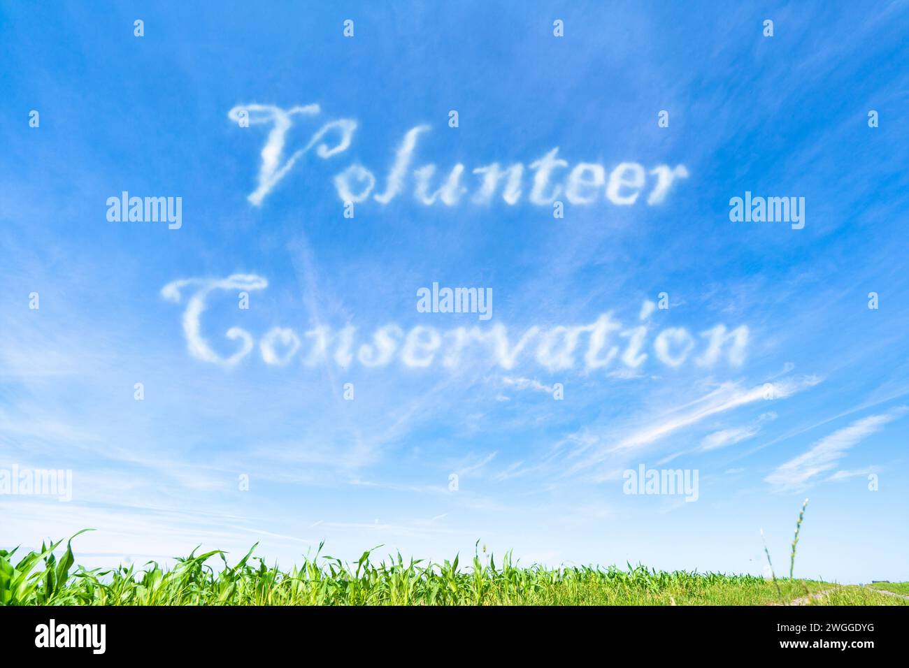 Freiwilligenschutz: Einzelpersonen, die ihre Zeit und ihre Anstrengungen zu Umweltprojekten und -Initiativen beitragen. Stockfoto