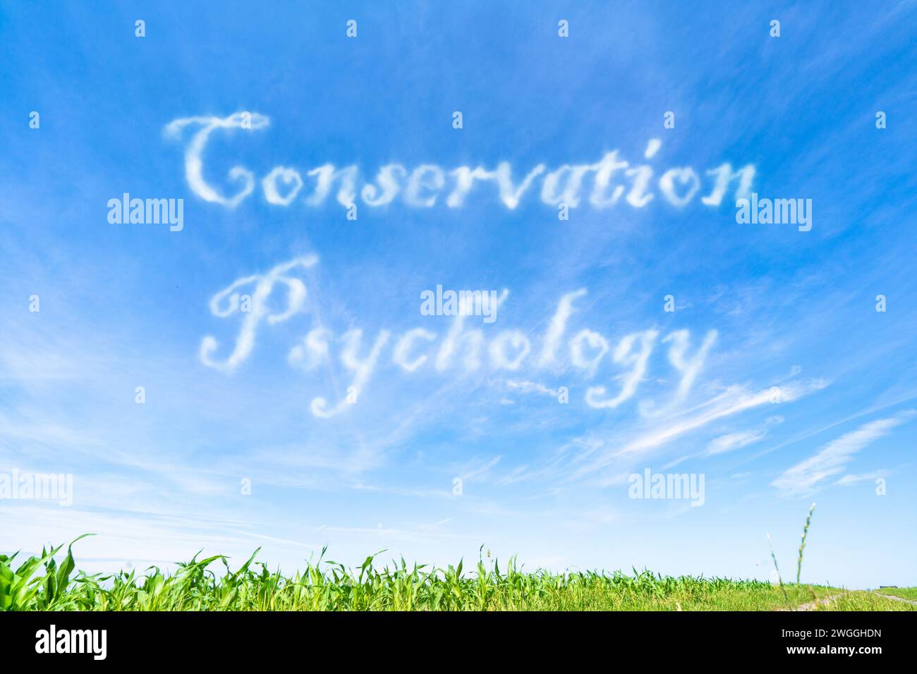 Erhaltungspsychologie: Verständnis menschlicher Verhaltensweisen und Motivationen für Erhaltungsbemühungen. Stockfoto