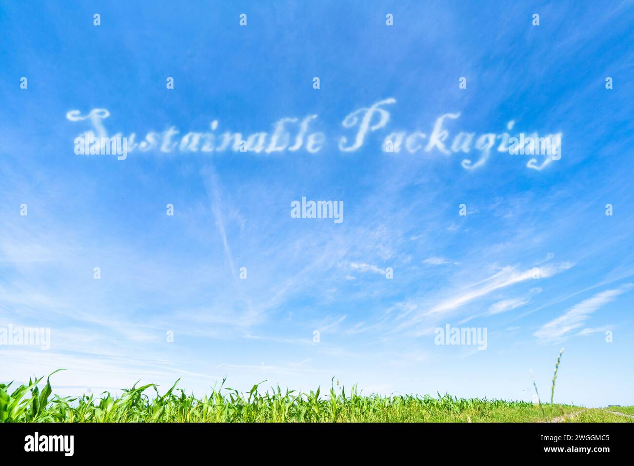 Nachhaltige Verpackung: Umweltfreundliche Verpackungsmaterialien und -Designs. Stockfoto