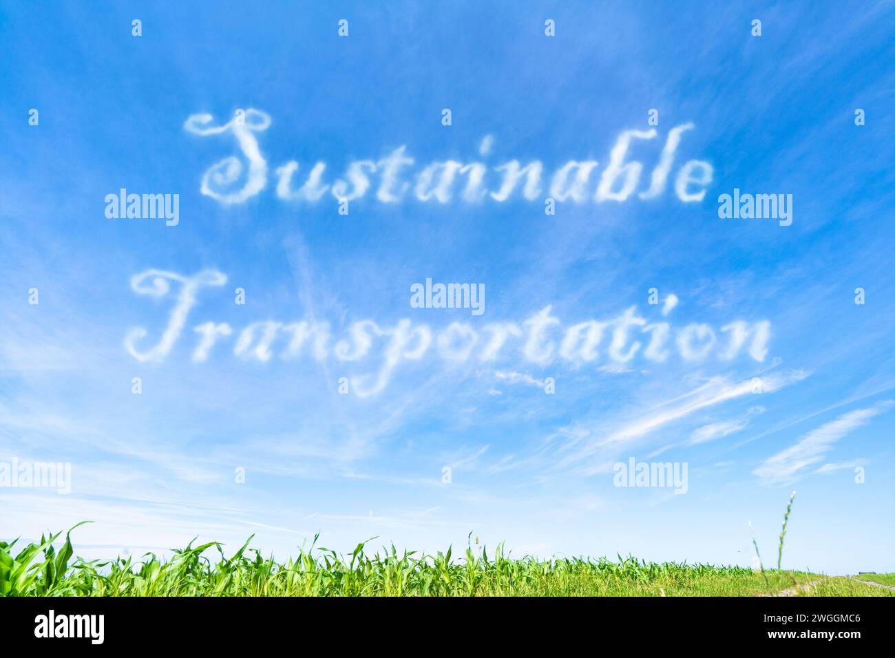 Nachhaltiger Verkehr: Verkehrsträger, die die Umweltbelastung minimieren, wie Radfahren und öffentliche Verkehrsmittel. Stockfoto