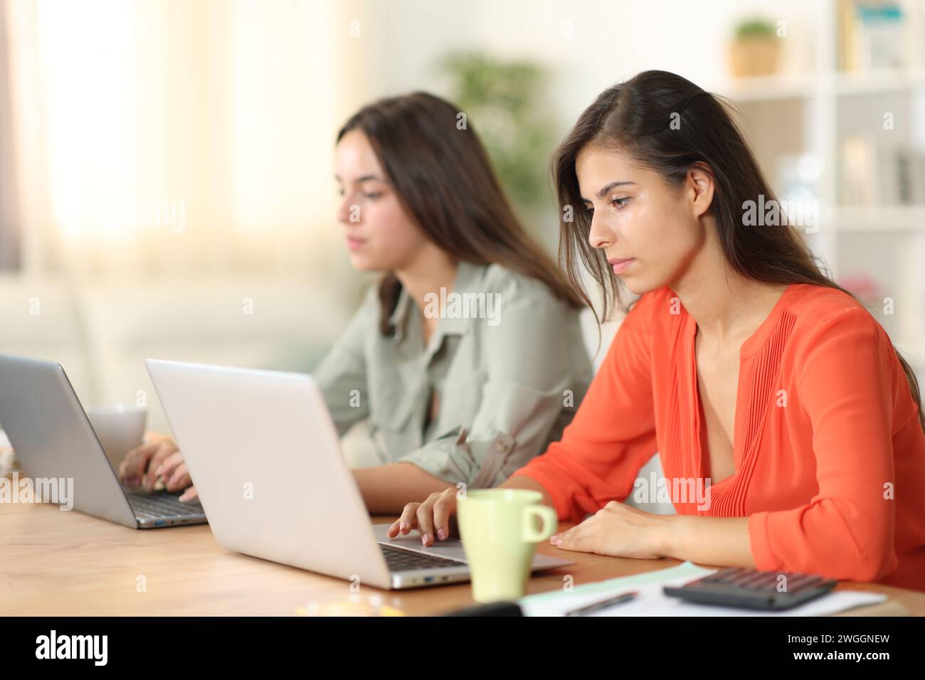 Zwei freiberufliche Mitarbeiter, die zu Hause online arbeiten Stockfoto