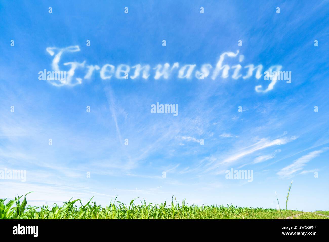Greenwashing: Irreführende Vermarktung, die den ökologischen Nutzen von Produkten oder Dienstleistungen übertreibt. Stockfoto