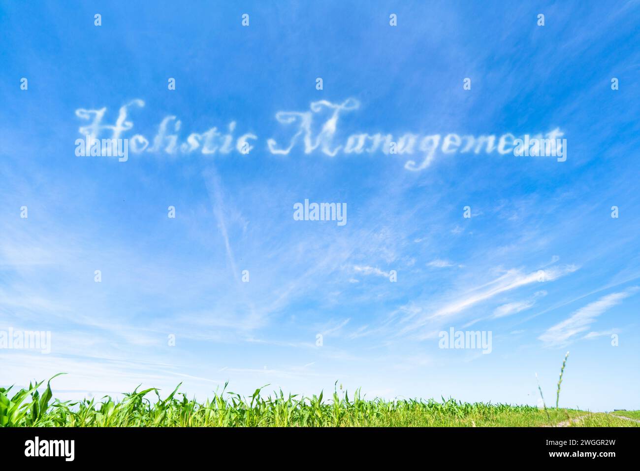 Ganzheitliches Management: Integrierter Ansatz für die Landbewirtschaftung unter Berücksichtigung ökologischer, ökonomischer und sozialer Faktoren. Stockfoto