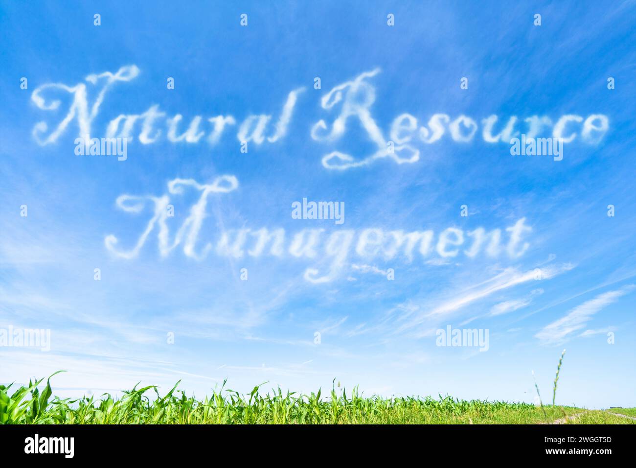 Bewirtschaftung natürlicher Ressourcen: Strategien für die nachhaltige Nutzung und Erhaltung natürlicher Ressourcen. Stockfoto