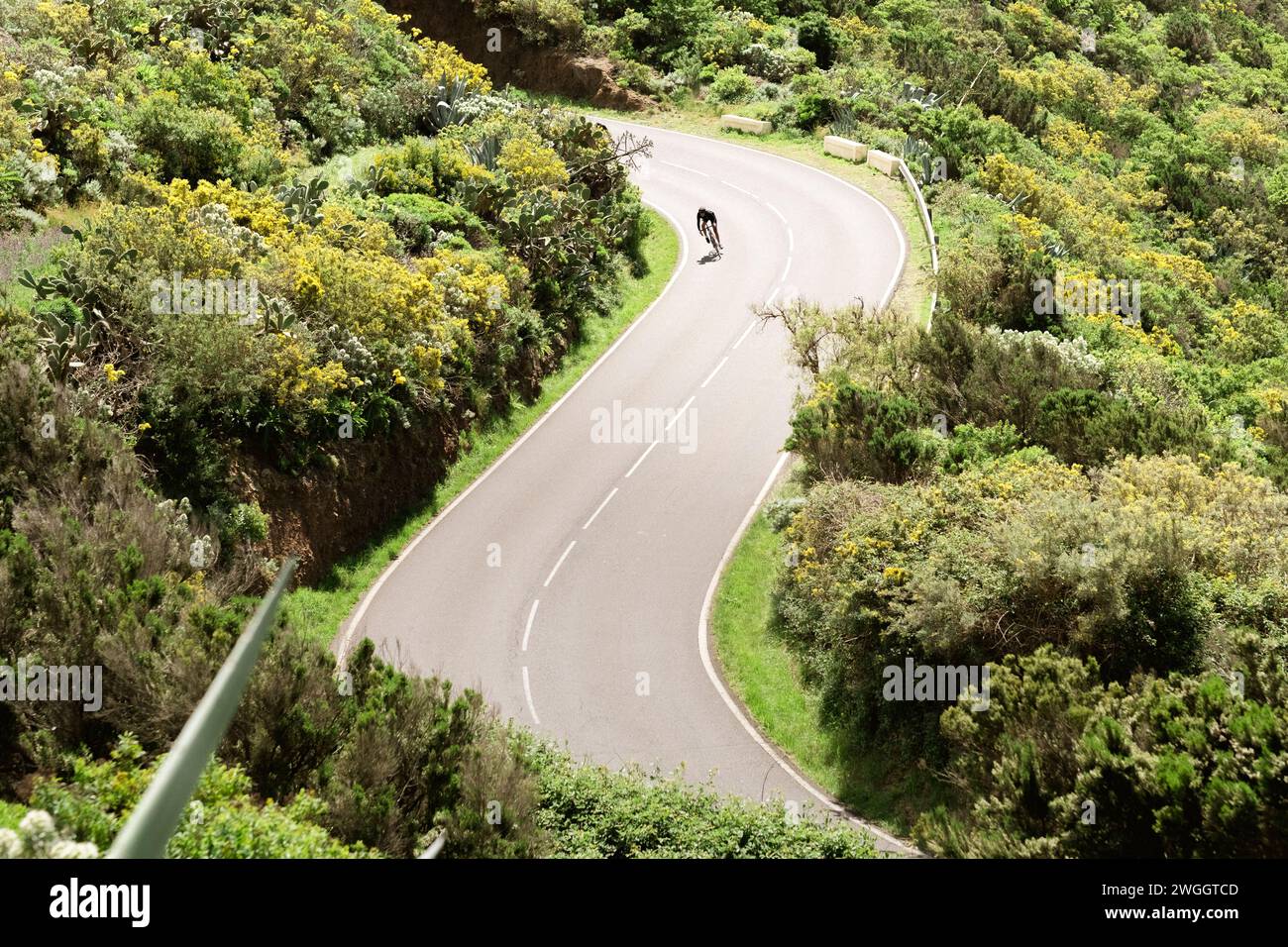 Radfahrer auf der kurvenreichen Autobahn,†Anaga,†Teneriffa, Spanien Stockfoto