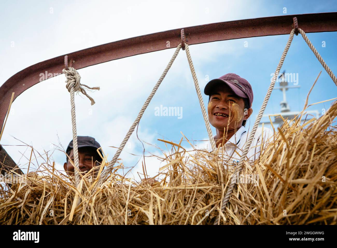 Bauern in Yangon, Myanmar lächeln von einem Heuwagen aus, Yangon, Myanmar Stockfoto
