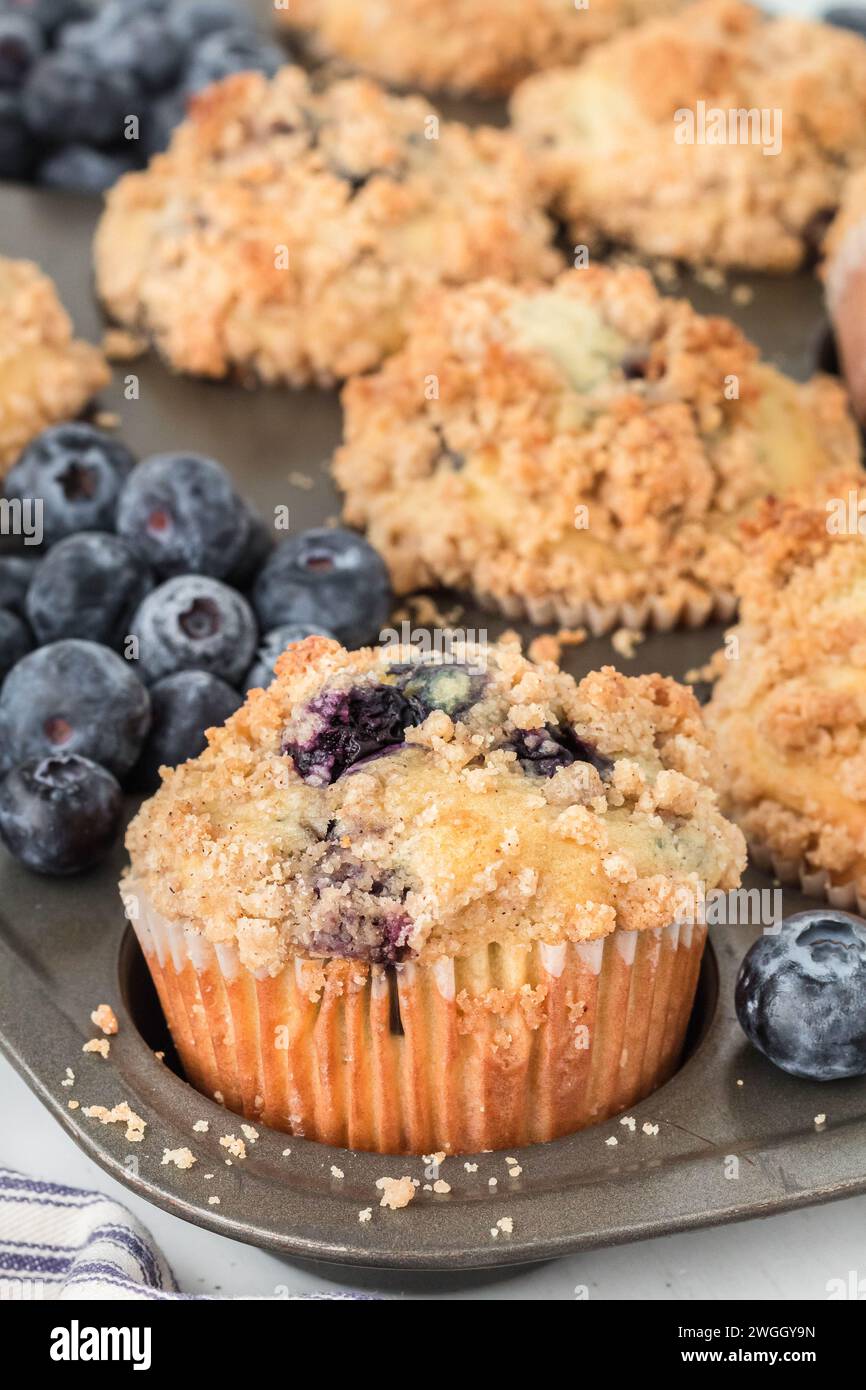 Eine frisch gebackene Pfanne Sauerteig wirft Blaubeermuffins auf Stockfoto