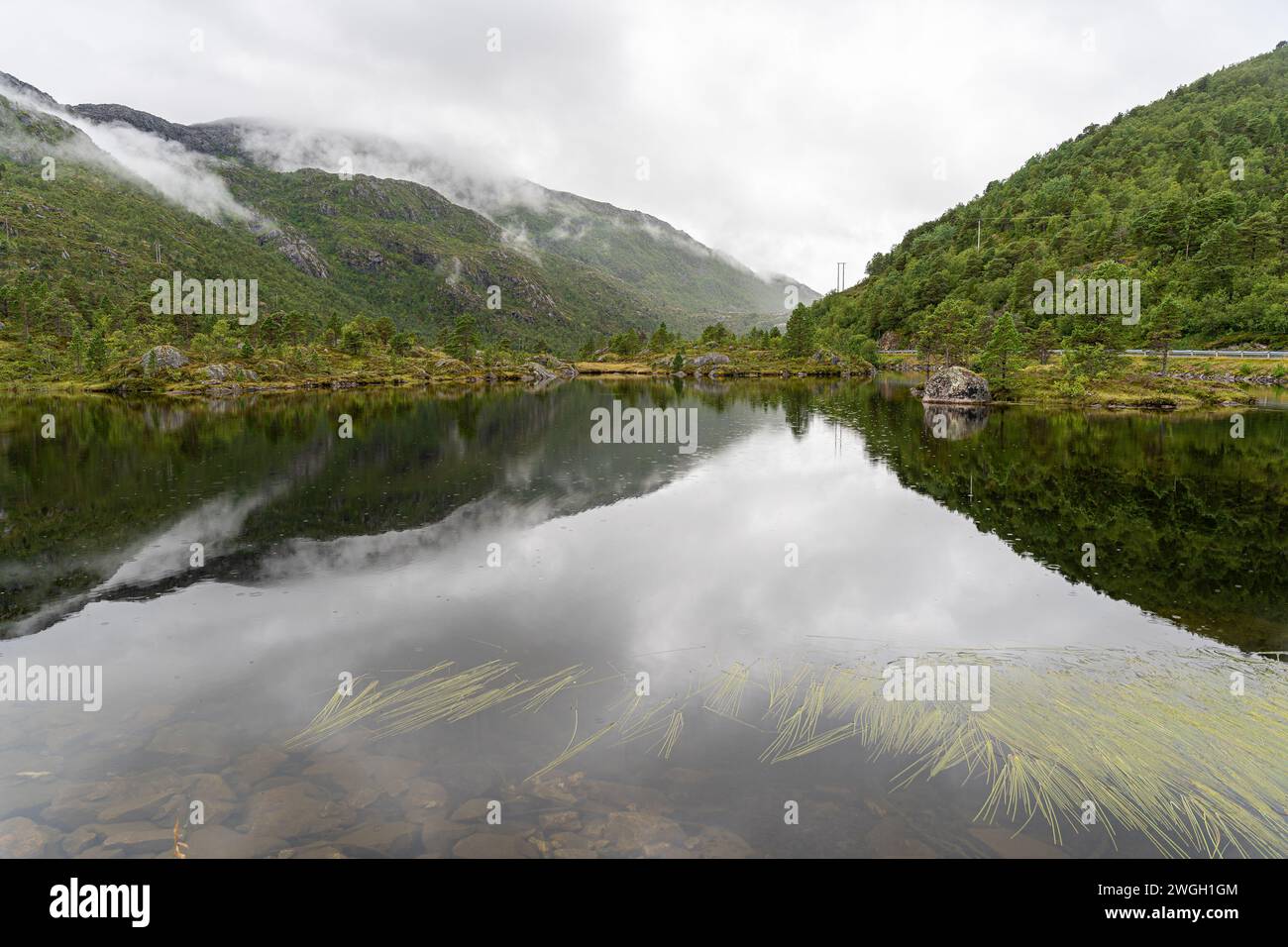Ein Berg spiegelt sich in einem ruhigen See in der Nähe des Waldes in Norwegen Stockfoto