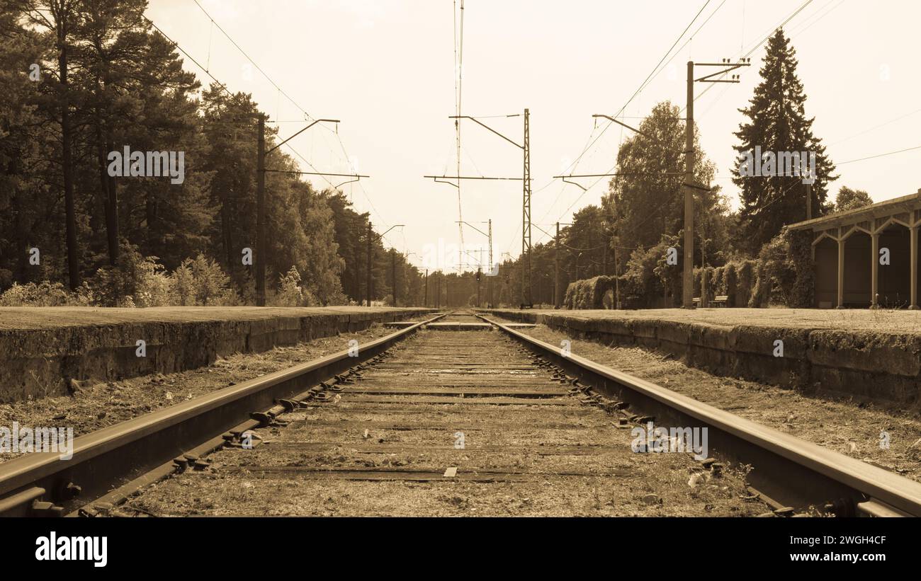 Eisenbahn am Rande des Waldes, schöne alte Zeiten, Vintage-Fotografie, klarer Himmel, sonniger Tag, Bahnhof Stockfoto