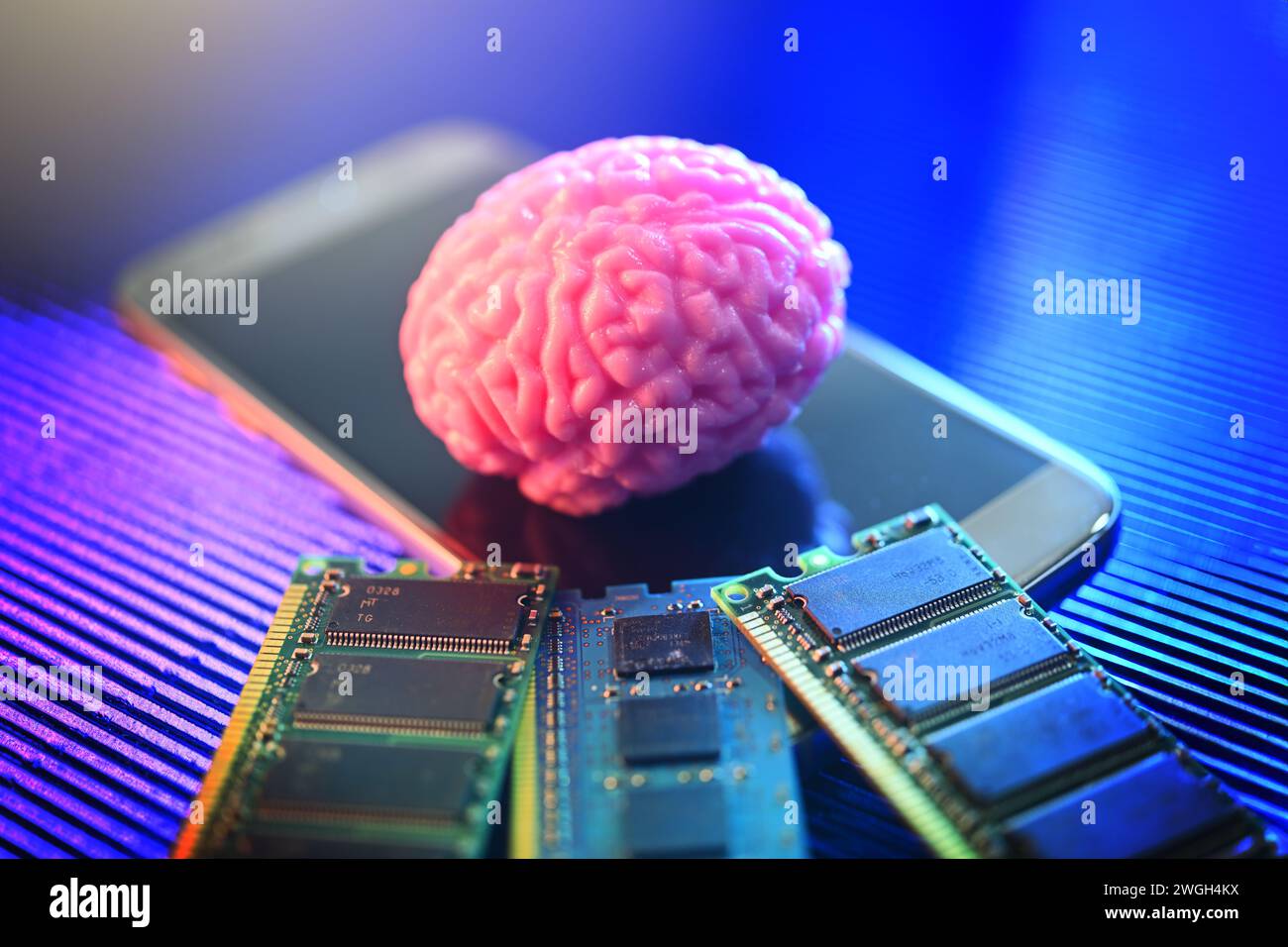 Gehirn auf Smartphone mit Computerplatinen, symbolische Photoneurotechnologie Stockfoto