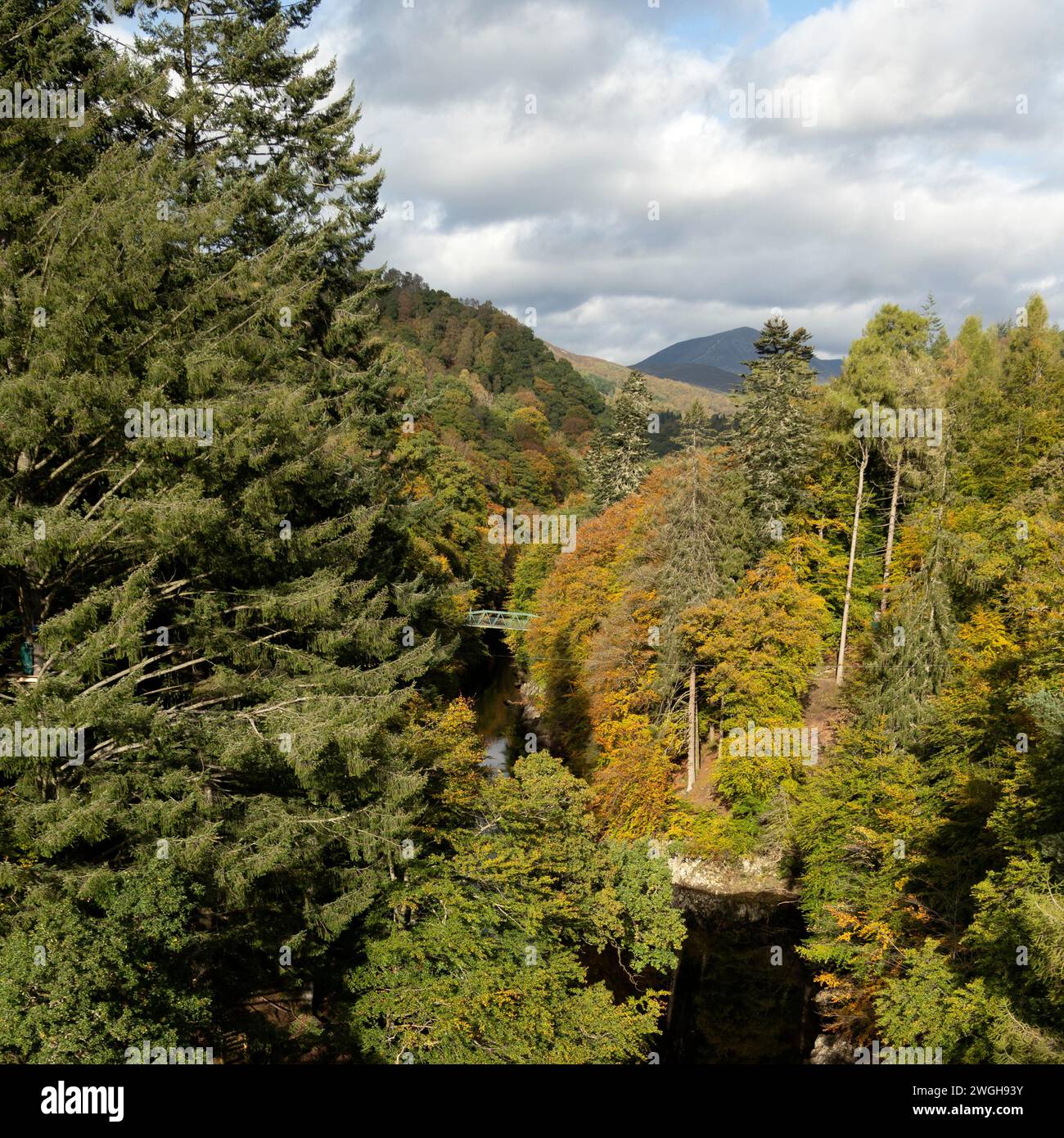 Herbstfarbe in den Wäldern der Garry Bridge in der Nähe von Pitlochry, Schottland. Stockfoto