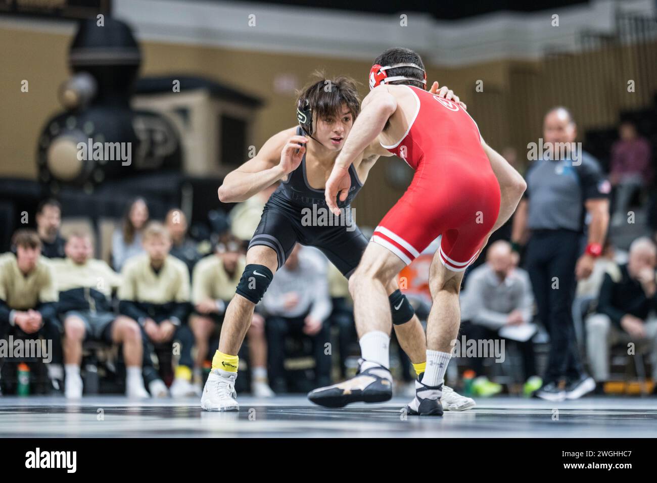 4. Februar 2024, West Lafayette, Indiana, USA: Während des NCAA menÃs-Ringspiels zwischen den Wisconsin Badgers und den Purdue Boilermakers, Sonntag, 4. Februar 2024, im Holloway Gymnasium in West Lafayette, Ind (Kreditbild: © David Wegiel/ZUMA Press Wire) NUR REDAKTIONELLE VERWENDUNG! Nicht für kommerzielle ZWECKE! Stockfoto