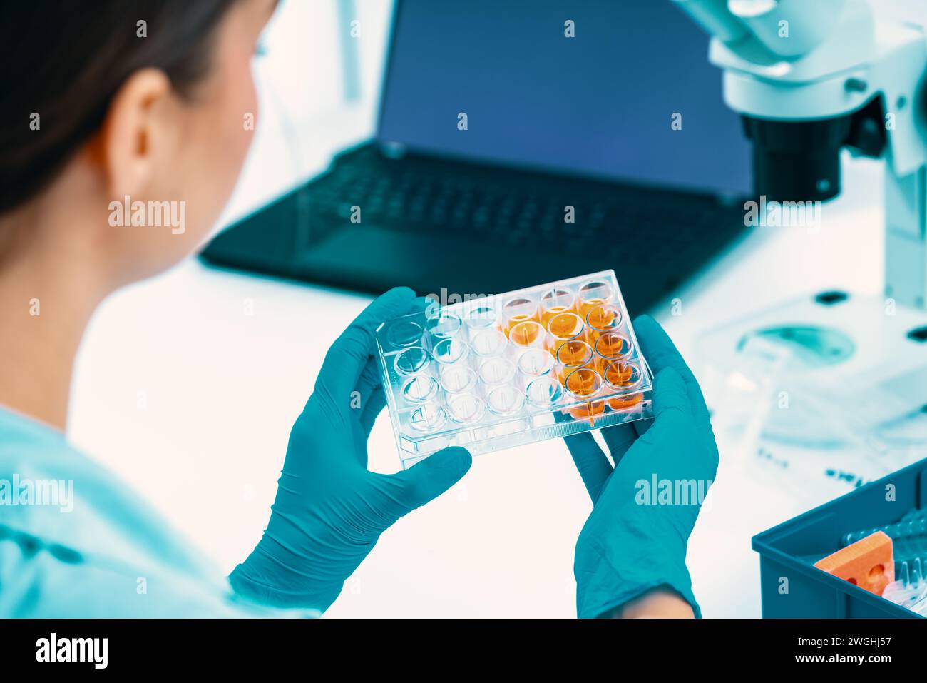 Professionelle Frau, die wissenschaftliche Experimente im Indoor-Labor durchführt Stockfoto