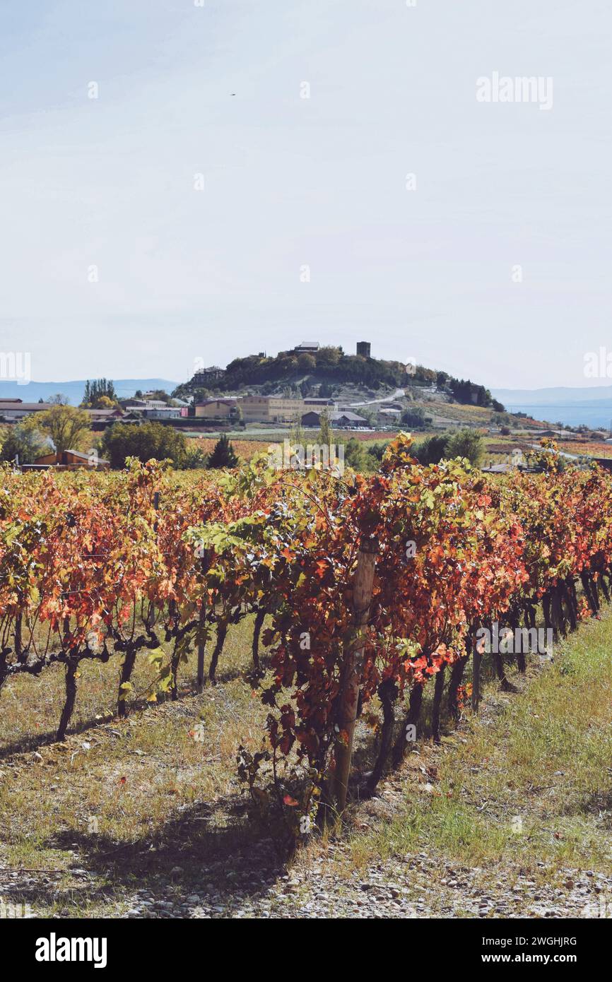 Ysios Weingüter mit der Stadt Laguardia in Alava, Spanien am 21. Oktober 2021 Stockfoto