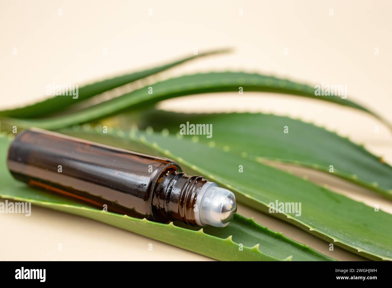 Ätherische Ölrolle auf Flasche mit Aloe Vera Blättern auf cremefarbenem Hintergrund Stockfoto