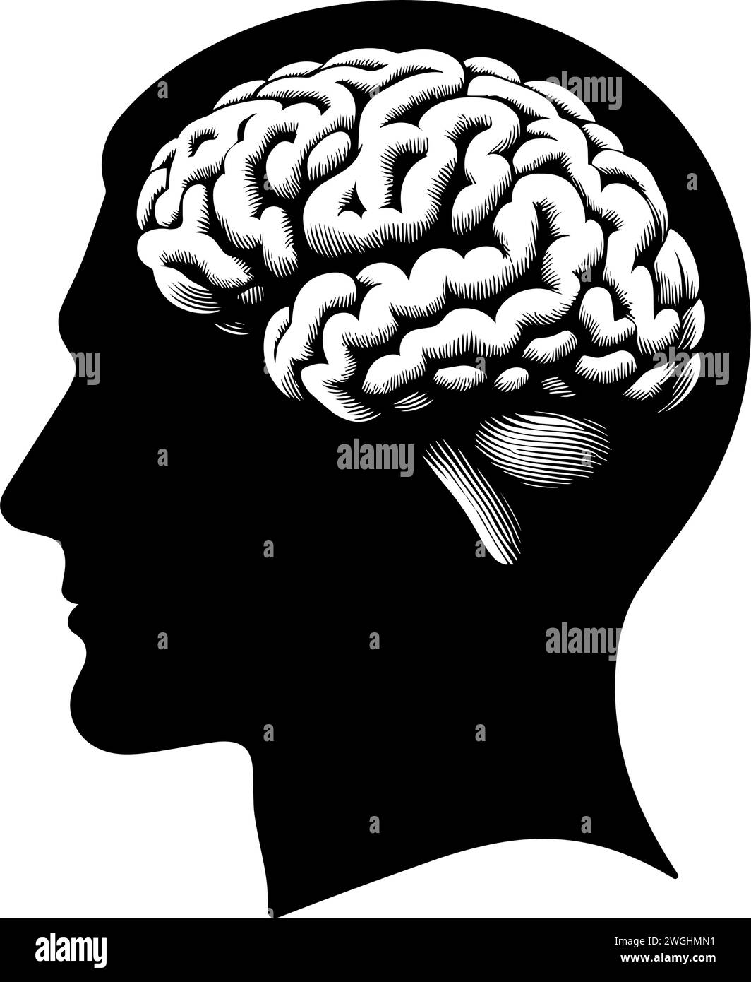 Menschlicher Kopf mit Hirnsilhouette. Vektorabbildung Stock Vektor