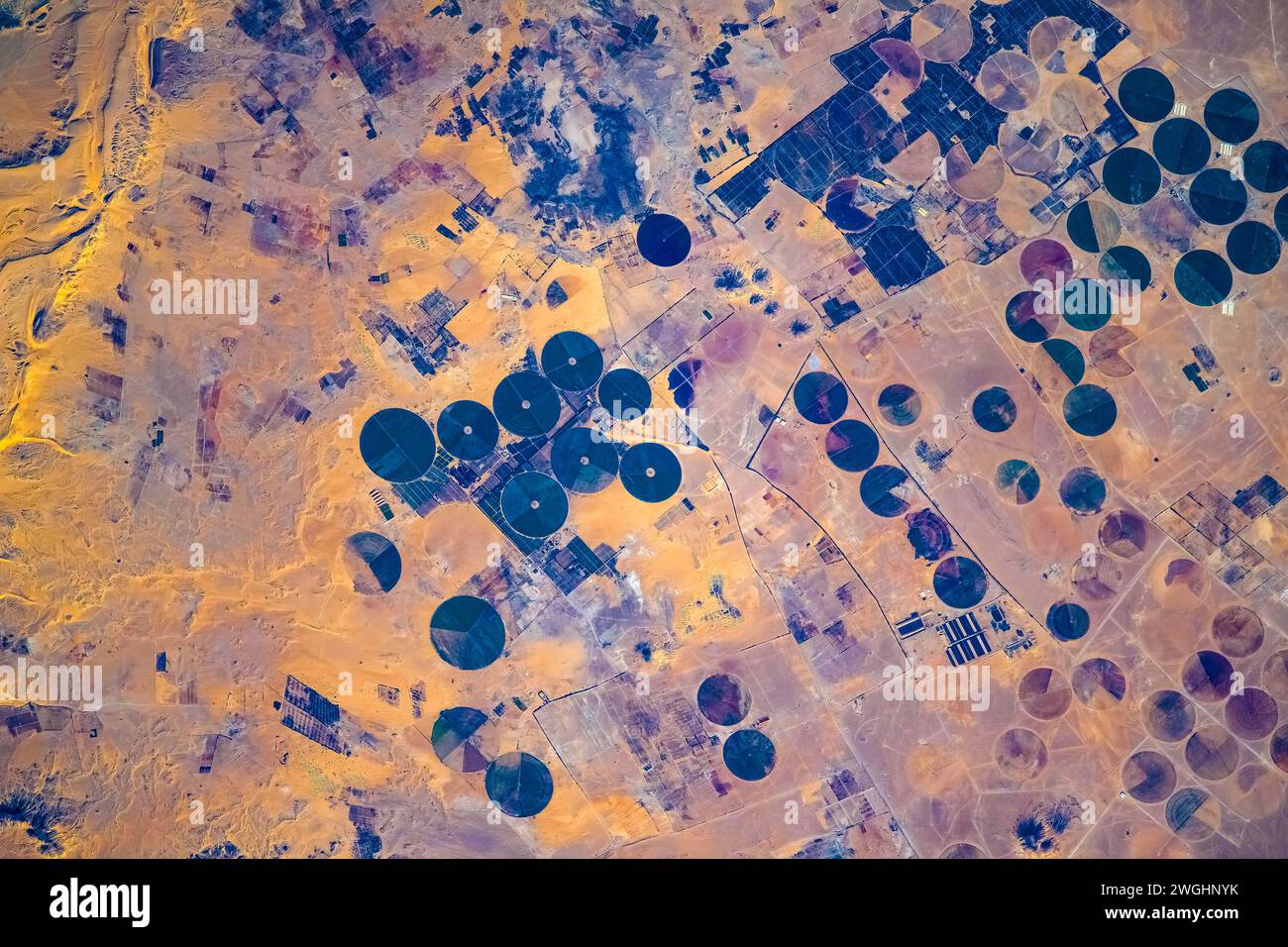 Kreisförmige Farmen in Wüstengebiet, Ägypten Stockfoto
