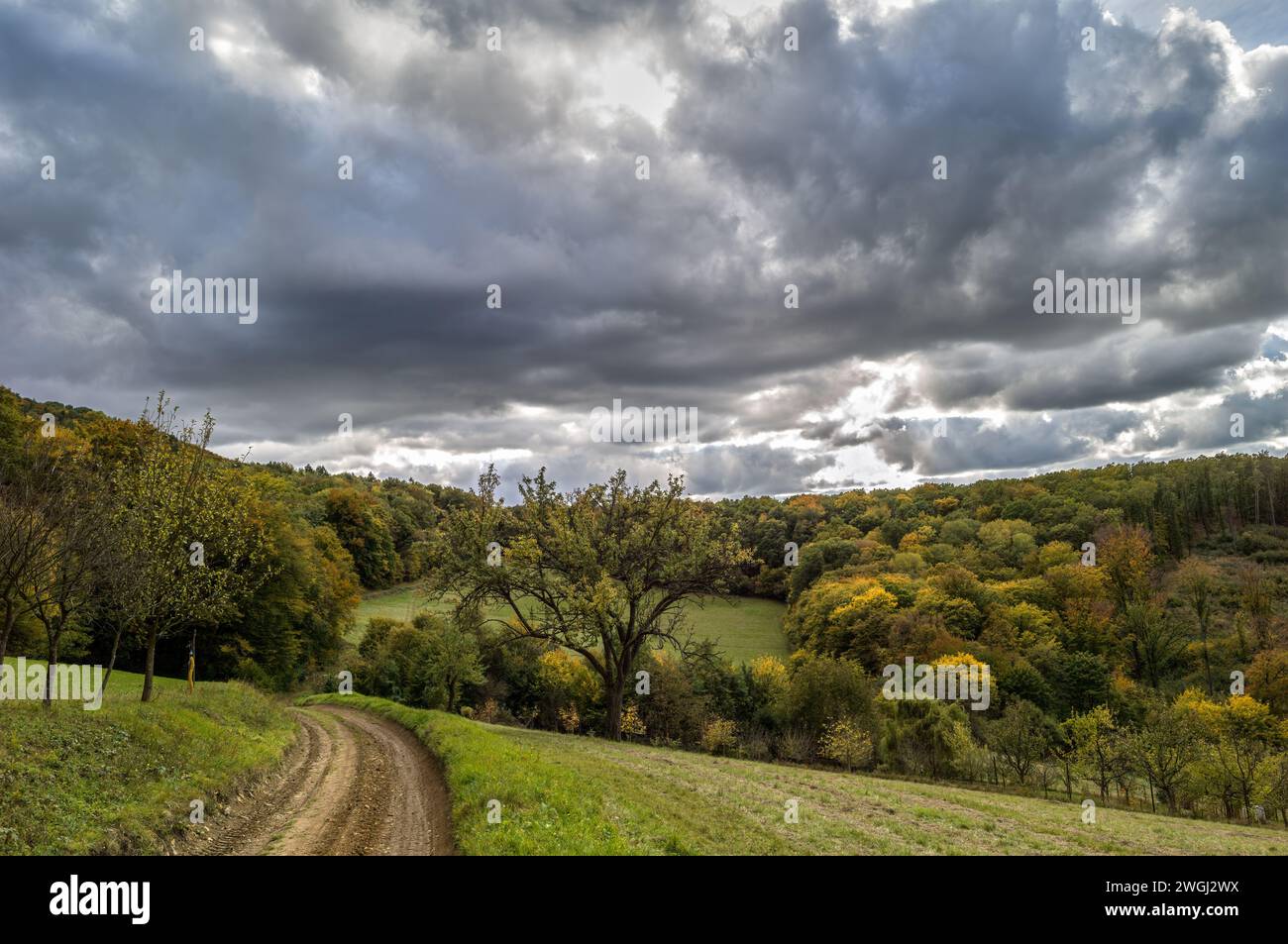 Herbstliche ländliche Landschaft mit Weg und Wald. Wunderschöner, bewölkter blauer Himmel mit der Sonne hinter grauen Wolken. Dubrava, Slowakei Stockfoto