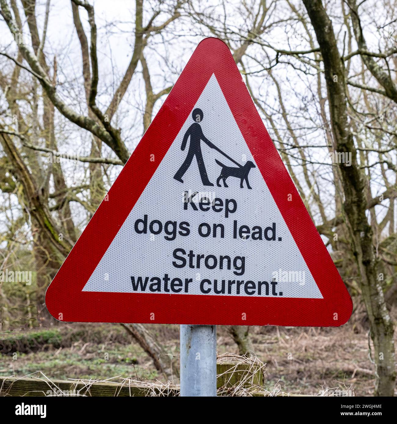 Halten Sie Hunde an Blei, starke Wasserströmung, Verkehrswarnschild in Cheshire UK Stockfoto