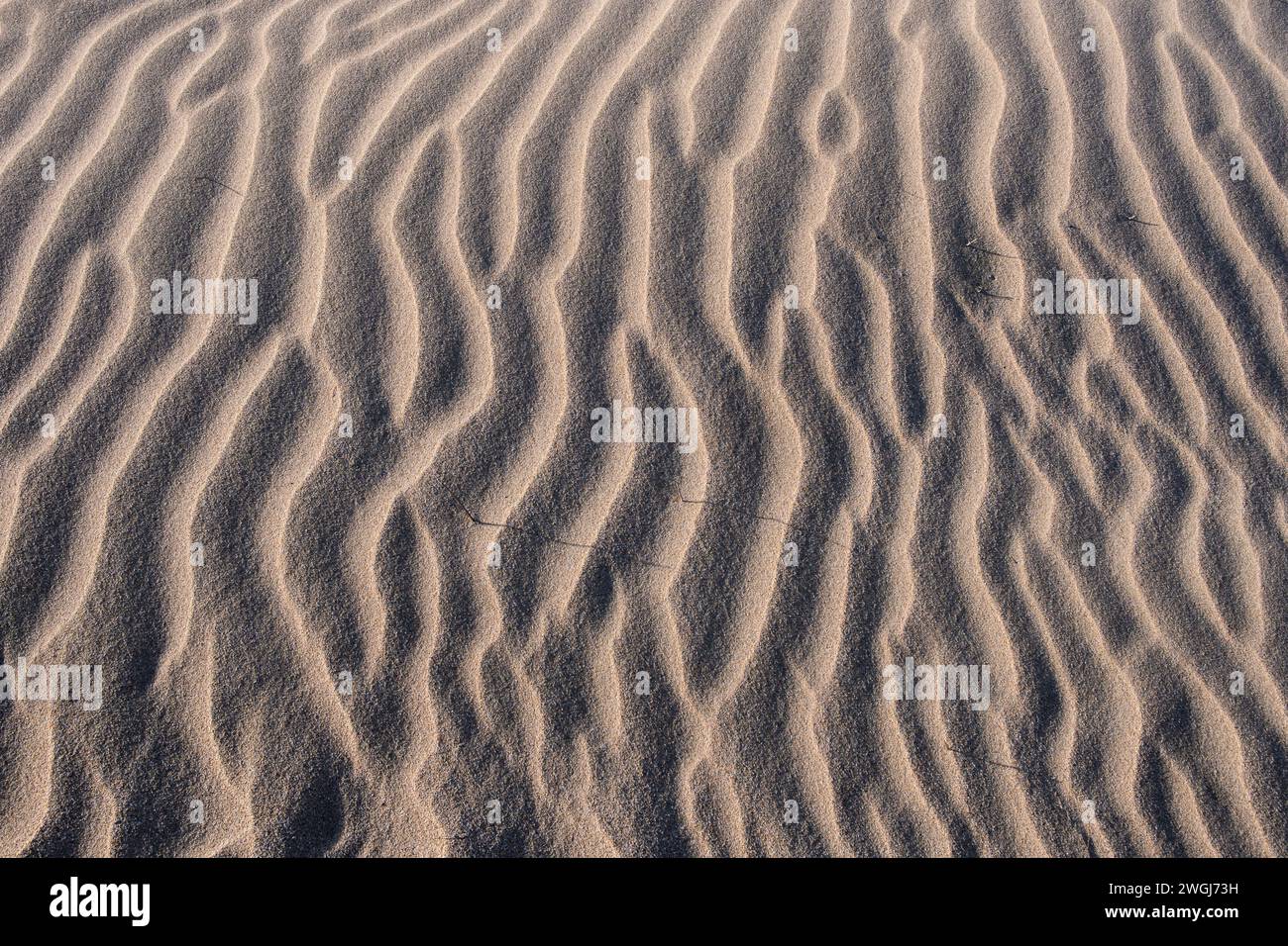 Am Crantock Beach an der Küste von Newquay in Cornwall, Großbritannien. Stockfoto