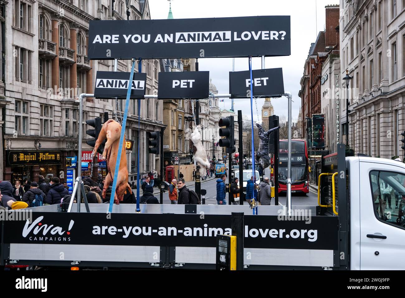 London, UK, 5. Februar 2024. Tierschutzorganisation Viva! Fördert eine neue Kampagne mit einem toten Schwein, Hund und Katze, die in einem Van gefahren werden und herausfordern, wie wir verschiedene Arten betrachten und behandeln. Quelle: Eleventh Photography/Alamy Live News Stockfoto