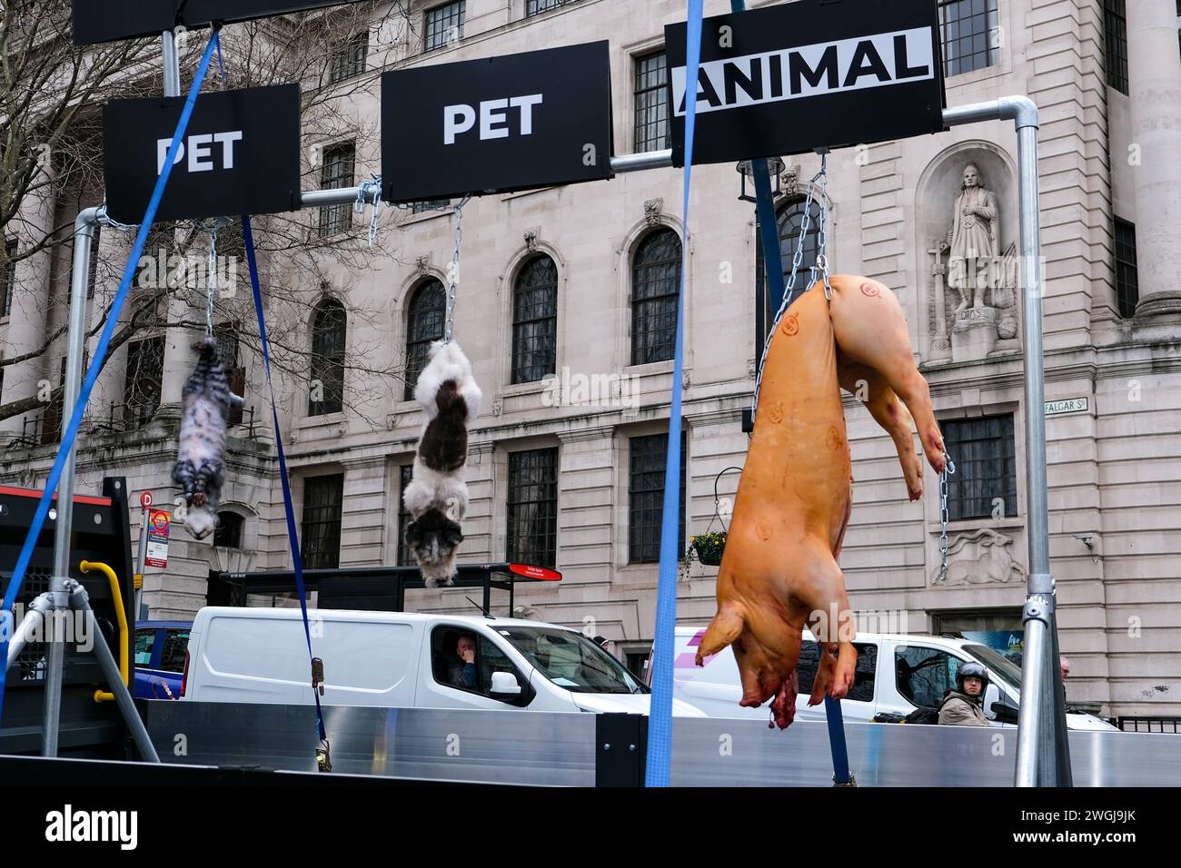 London, UK, 5. Februar 2024. Tierschutzorganisation Viva! Fördert eine neue Kampagne mit einem toten Schwein, Hund und Katze, die in einem Van gefahren werden und herausfordern, wie wir verschiedene Arten betrachten und behandeln. Quelle: Eleventh Photography/Alamy Live News Stockfoto