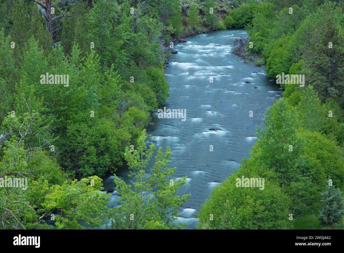 Chewaucan River, Fremont National Forest, Oregon Stockfoto