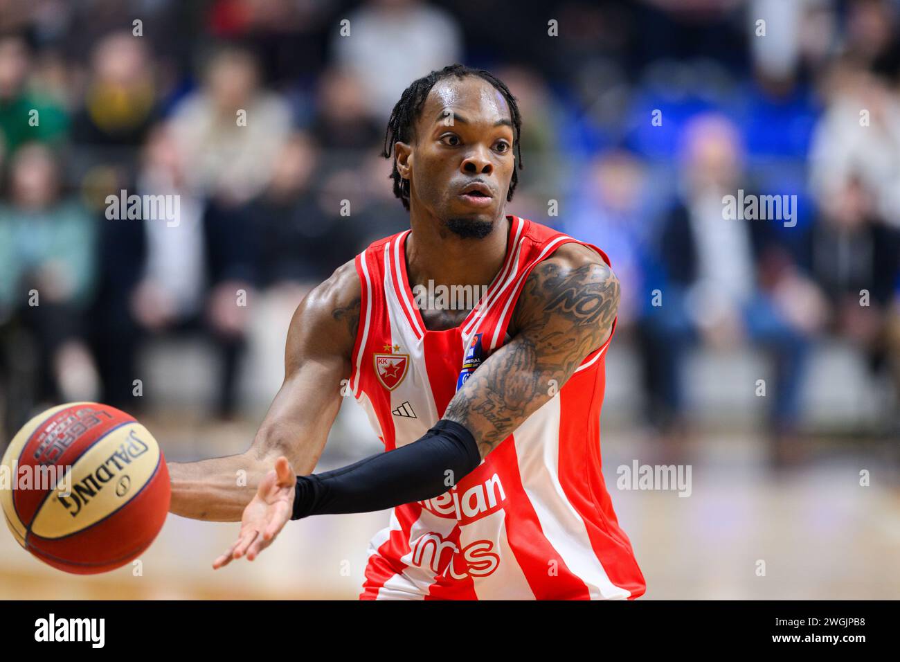 Podgorica, Montenegro. Februar 2024. Javonte Smart von Crvena Zvezda beim Basketballspiel der Aba League zwischen KK Buducnost Voli und KK Crvena Zvezda Meridianbet, Podgorica, Montenegro, 5,2.24., Februar, 2024: Stefan Ivanovic/Alamy Live News Stockfoto