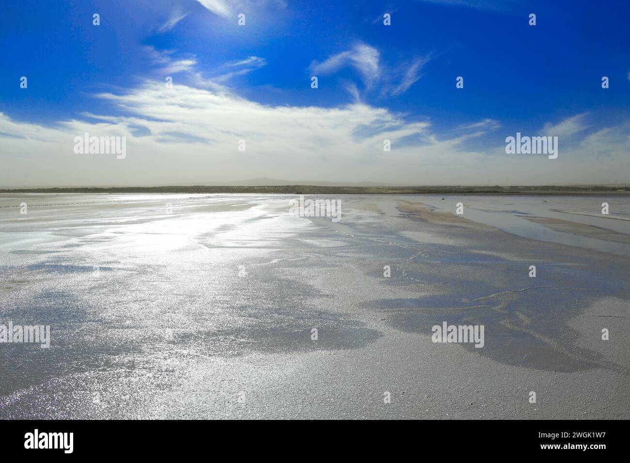 (Marsh) flaches Sedimentwasserbecken nicht voll mit Wasser Stockfoto