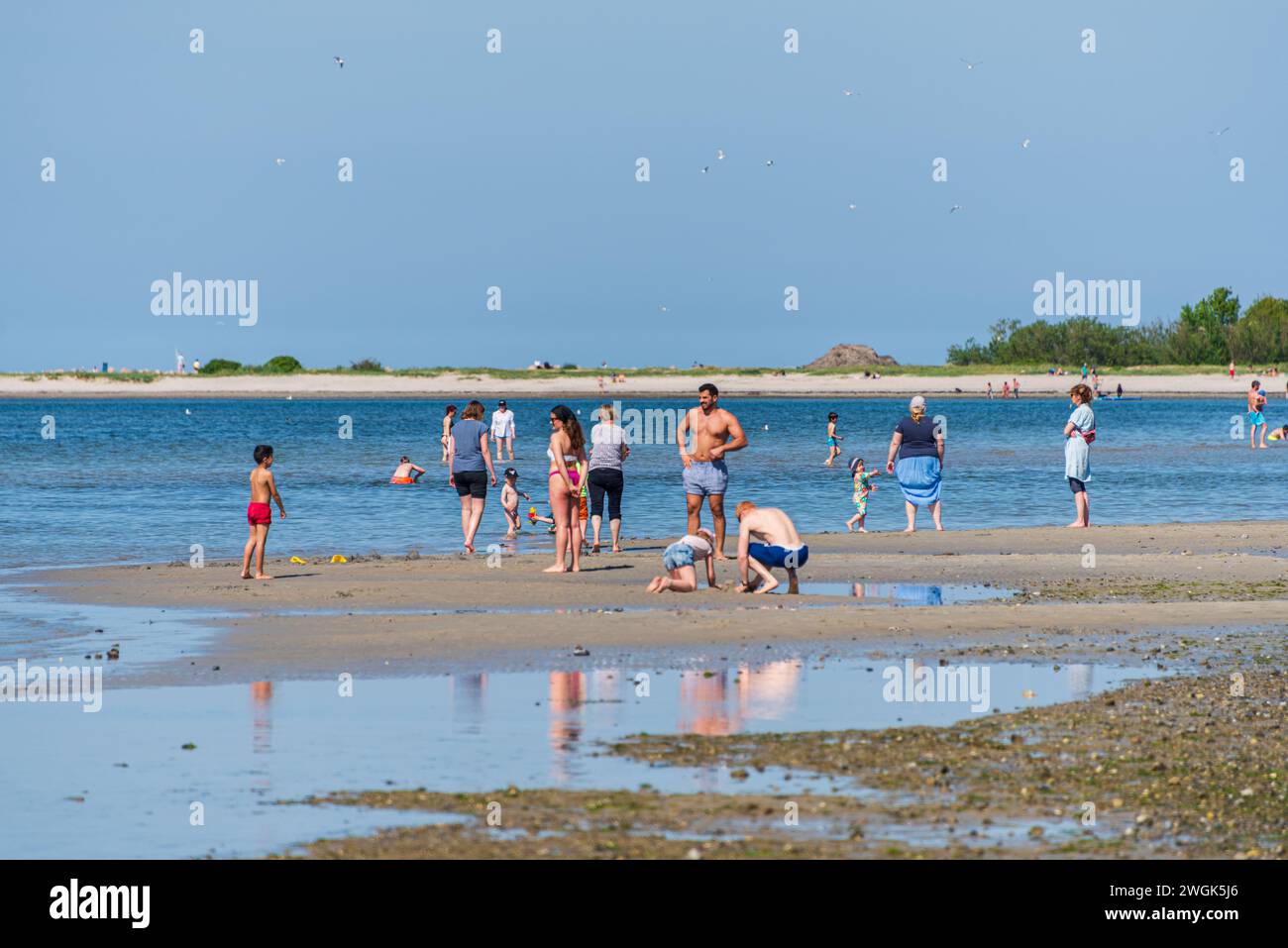 Menschen am Strand von Laboe am Ausgang der Kieler Förde bei Niedrigwasser. Stockfoto