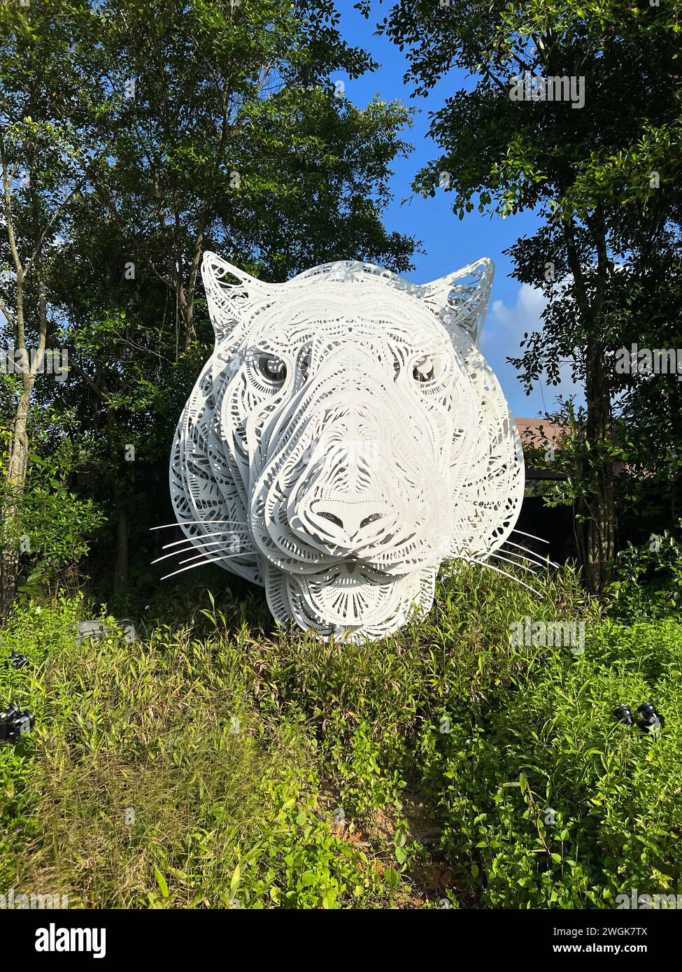 Ein mehrschichtiges weißes Tigerporträt im Mandai Wildlife Reserve in Singapur. Stockfoto