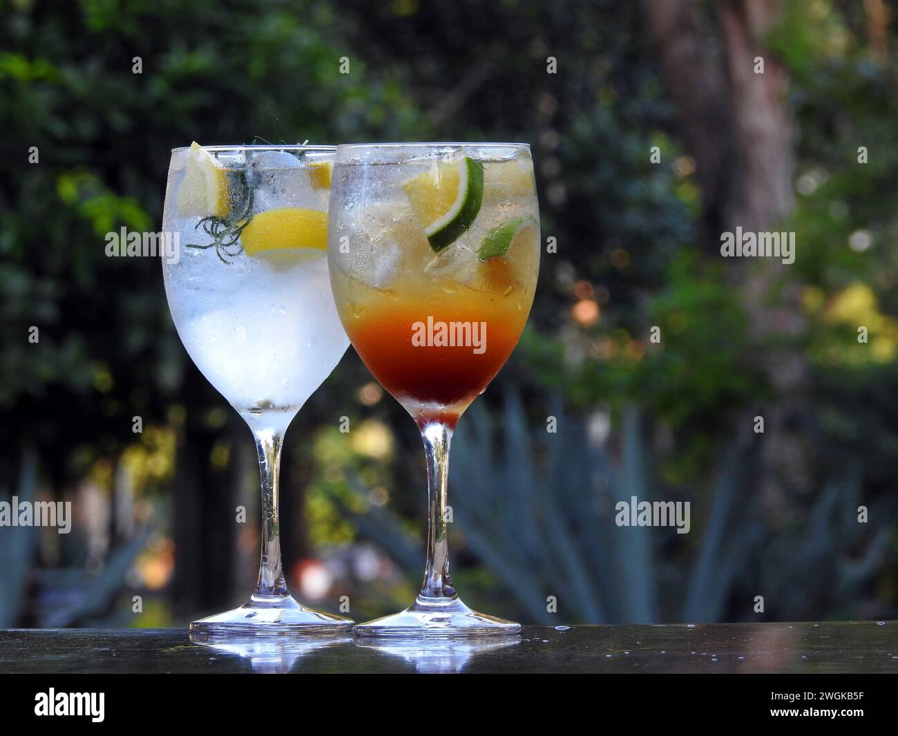 Erfrischende Getränke Gin Tonic mit Zitrone und Rosmarin und Gin Tonic mit Zitrone und Espresso Stockfoto