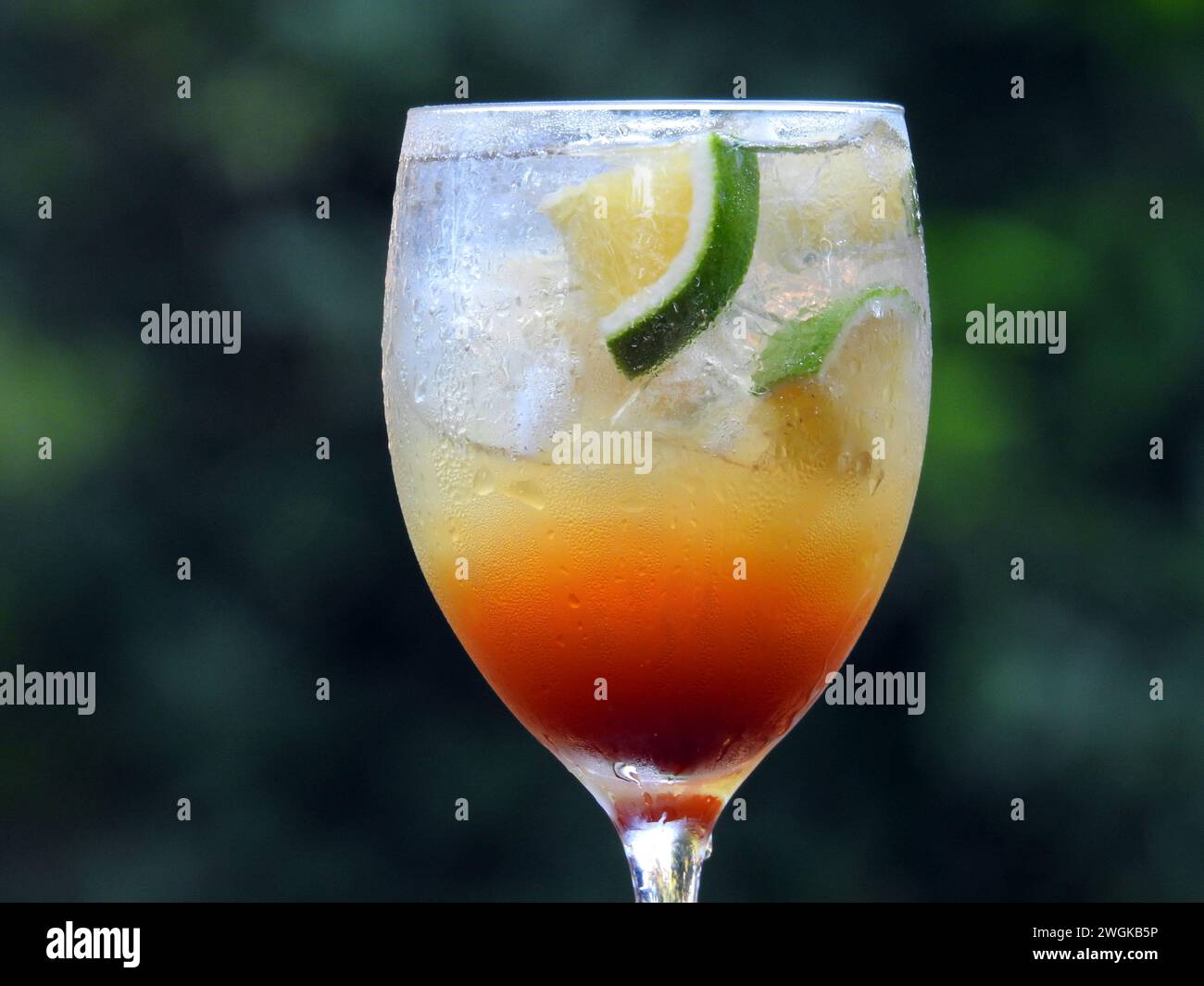 Erfrischendes Getränk Gin Tonic mit Zitrone und Espresso Stockfoto