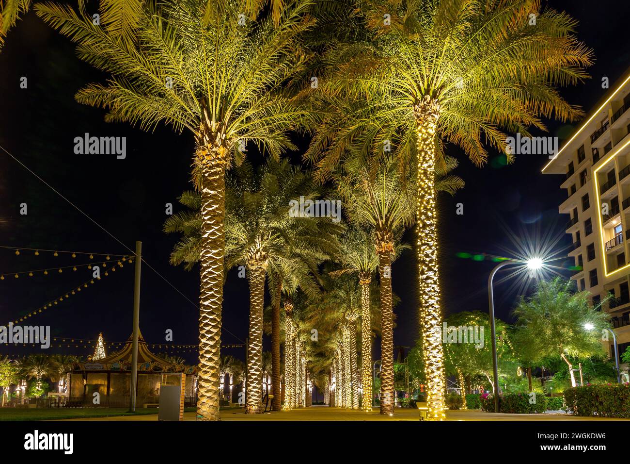 Dubai, VAE, 10.10.21. Promenade mit beleuchteten Dattelpalmen, Weihnachtsbeleuchtung im Town Square Park, Dubai, Nachtblick. Stockfoto