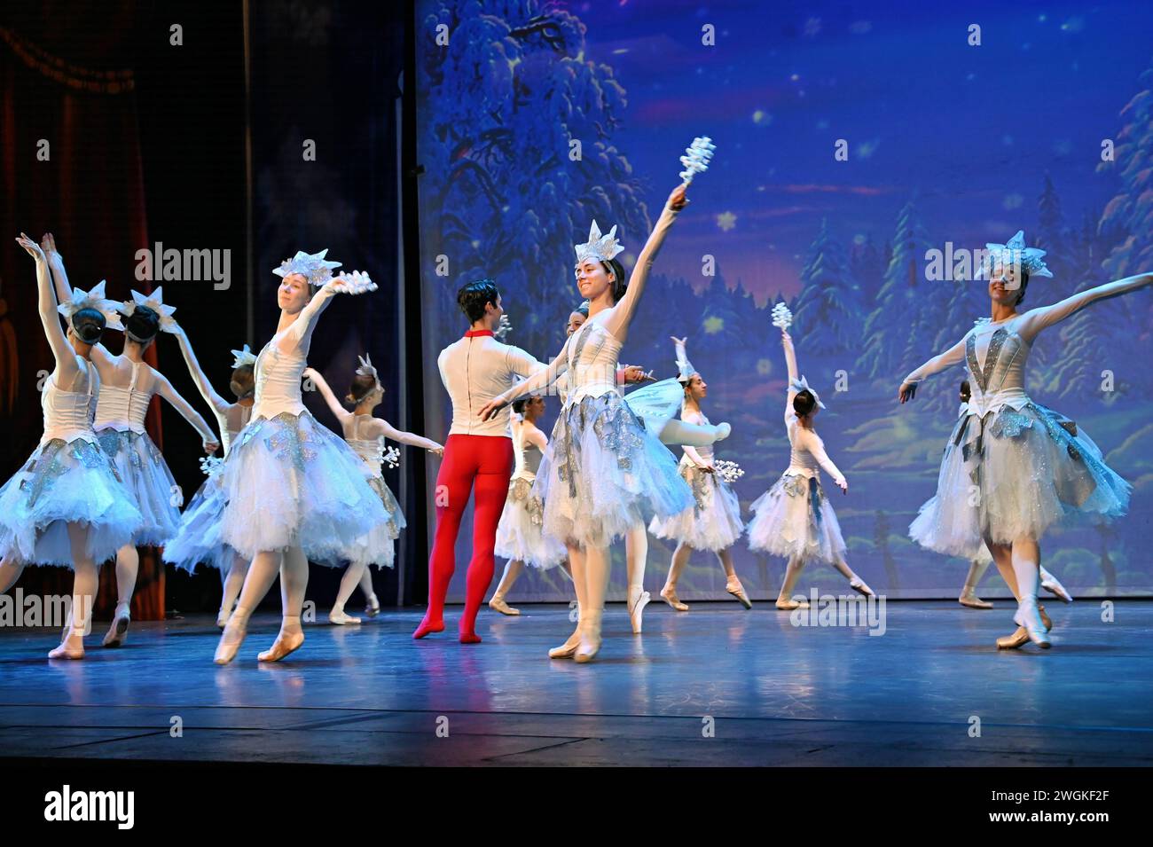 London, Großbritannien. Februar 2024. Die Besetzungen treten für The Nussknacker auf - die Tänze des Varna International Ballet, die derzeit im New Wimbledon Theatre in London auf Tour sind. Quelle: Siehe Li/Picture Capital/Alamy Live News Stockfoto