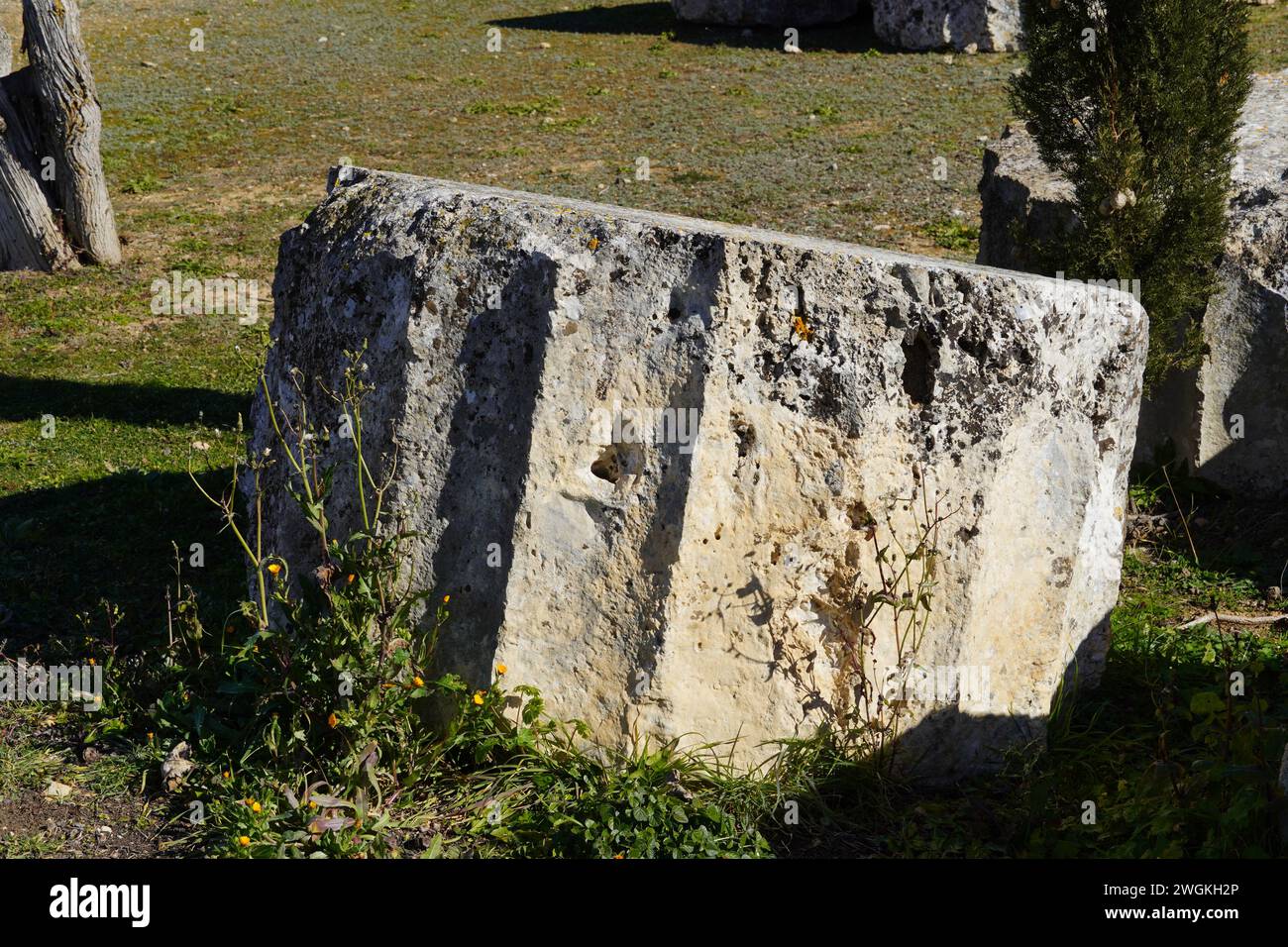 Altes Säulenstück in der archäologischen Stätte von Nemea Stockfoto