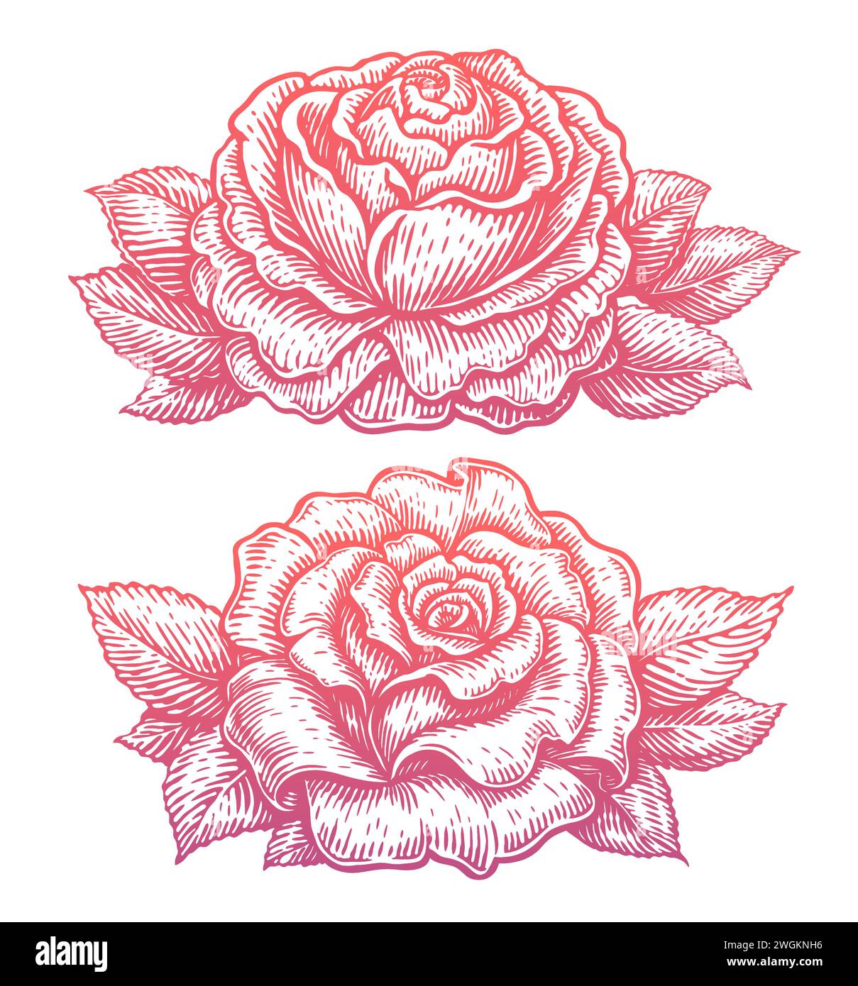Rosenblume mit Blättern, handgezeichnet im Skizzenstil. Blumenmuster. Vektorabbildung Stock Vektor