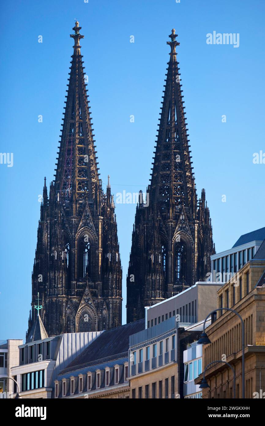Kölner Dom hinter den Fassaden von Häusern in der Innenstadt, Deutschland, Nordrhein-Westfalen, Köln Stockfoto