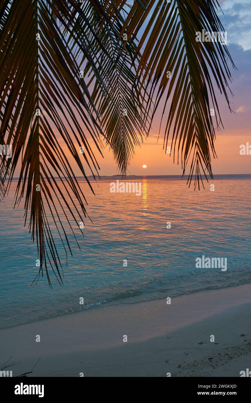 Vilamendhoo, Malediven, eine tropische Insel im Indischen Ozean Stockfoto
