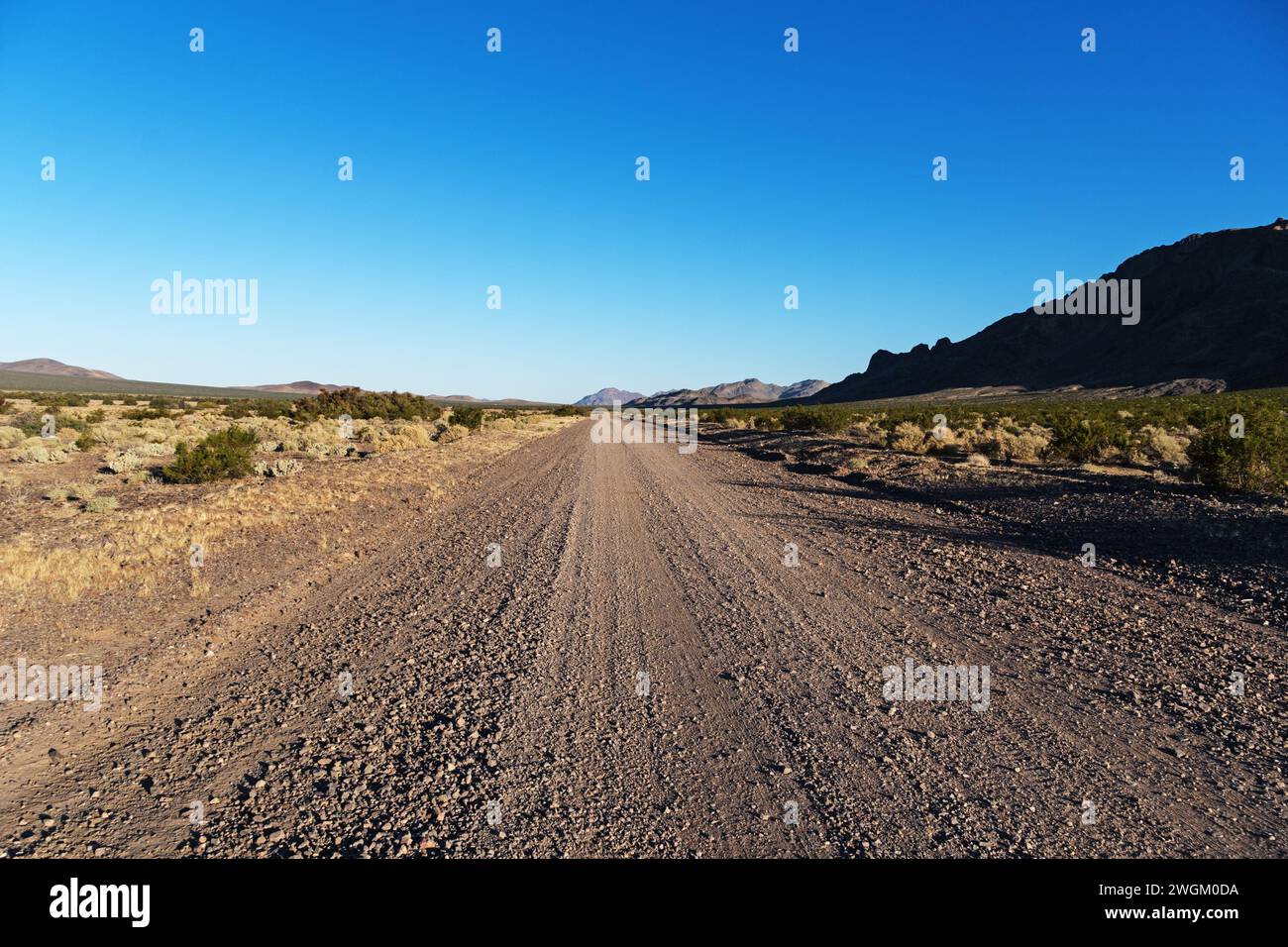 Die Alamo-Wüstenstraße, die sich zum Horizont hin im Desert National Wildlife Refuge in Nevada erstreckt Stockfoto