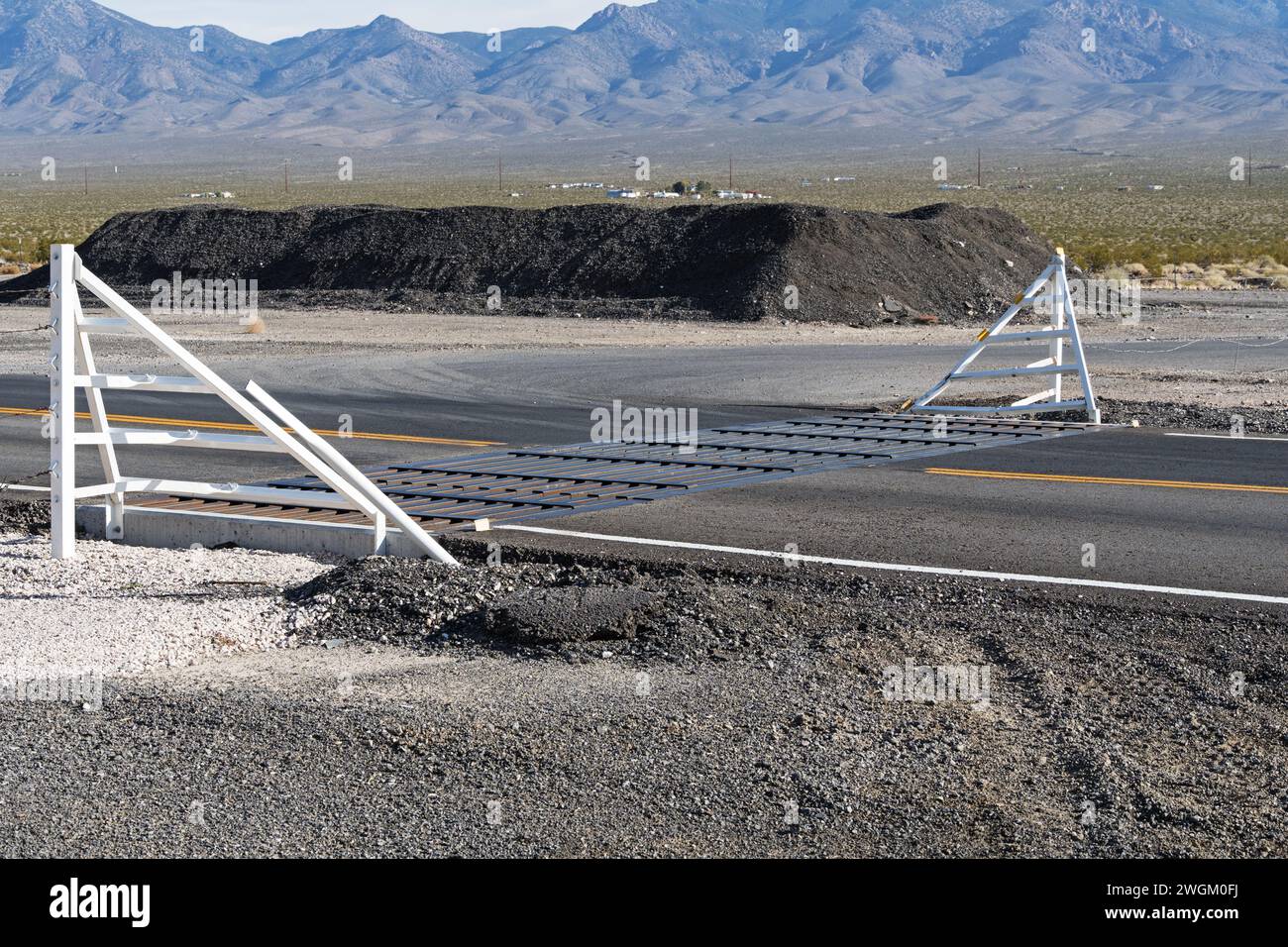Viehwache und Zaun auf asphaltierter Straße in der Wüste von Nevada Stockfoto