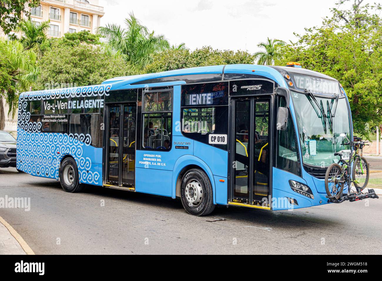 Merida Mexico, Zona Paseo Montejo Centro, Avenida Colon, Bus mit öffentlichen Verkehrsmitteln, Schilderinformationen, Promotion, mexikanisches lateinamerikanisches Lati Stockfoto