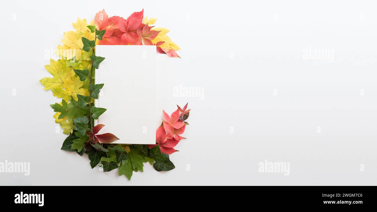 Kreative Komposition von bunten Blättern mit weißem leerem Bucheinband. Flach, Draufsicht, Kopierraum Stockfoto