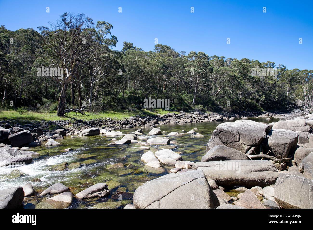 Snowy River im Kosciusko Nationalpark, Sommertag in der Nähe von Perisher Village, New South Wales, Australien Stockfoto