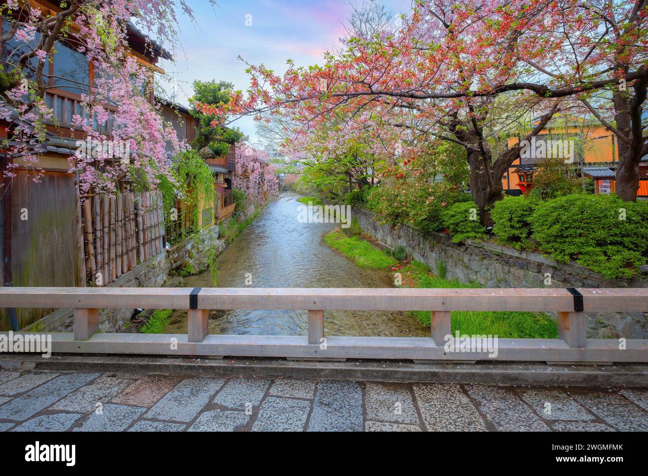 Kyoto, Japan - 6. April 2023: Die Tatsumi-Bashi-Brücke ist der berühmte Ort des Stadtteils Gion. Es ist eine kleine Brücke, die den Fluss Shirakawa überquert Stockfoto