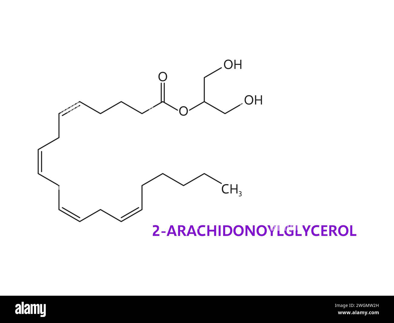 Neurotransmitter, 2-Arachidonoylglycerol oder 2-AG chemische Molekülformel, Vektormolekularstruktur. 2-Arachidonoylglycerol, Neuromodulator des Nervensystems und Rezeptoren in Molekularstruktur Stock Vektor